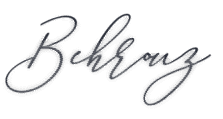 Behrouz Tech SRL